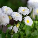 CCTV8在线直播观看:热门电视剧同步追剧指南 012lz