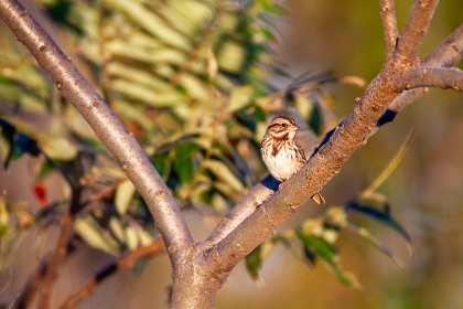 金堡娱乐的未来展望:创新与多元化的结合之路 金堡娱乐的未来展望:创新与多元化的结合之路