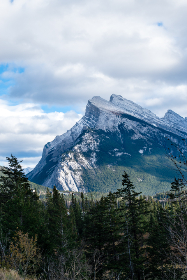 CCTV5高清足球直播：绿茵豪门对决一触即发