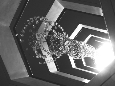 《经视直播》最新热点事件深度追踪报道 《经视直播》最新热点事件深度追踪报道